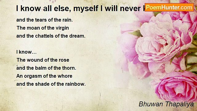 Miss Sushine Riots - All But an Angel Above Insects