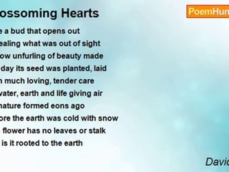 David Taylor - Blossoming Hearts