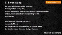 Michael Shepherd - ! ! Swan Song