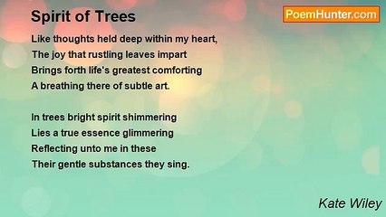 Kate Wiley - Spirit of Trees