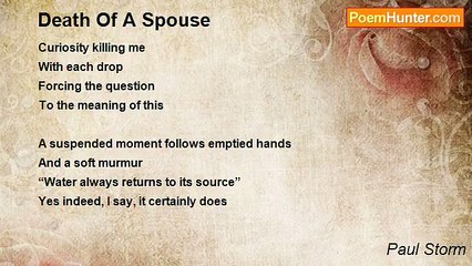 Paul Storm - Death Of A Spouse