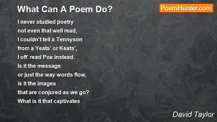 David Taylor - What Can A Poem Do?