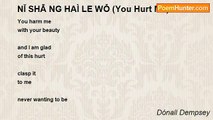 Dónall Dempsey - NĬ SHĀ NG HAÌ LE WǑ (You Hurt Me)