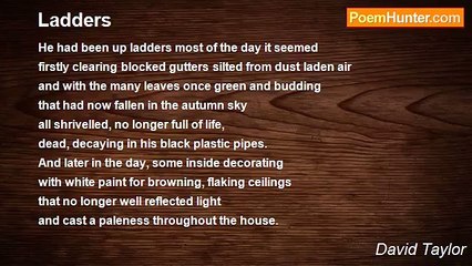 David Taylor - Ladders