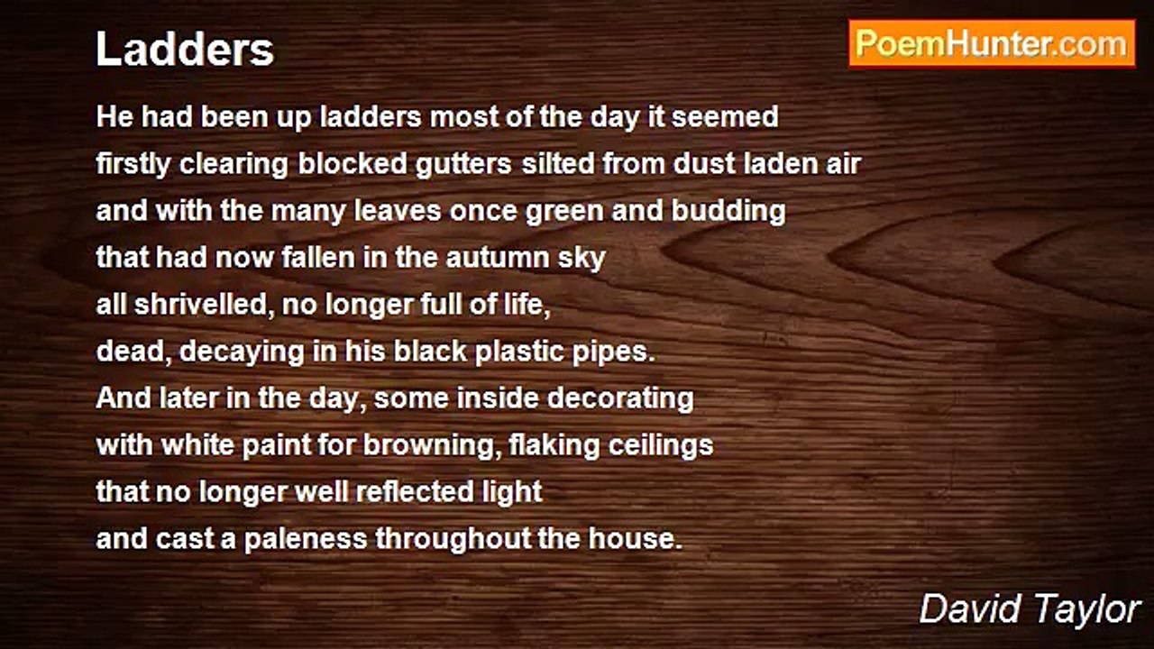 David Taylor - Ladders