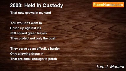Tom J. Mariani - 2008: Held In Custody
