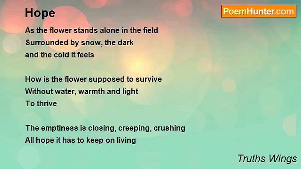 Truths Wings - Hope