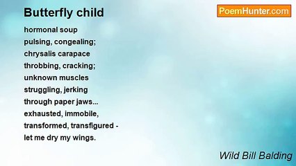 Wild Bill Balding - Butterfly child