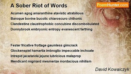 David Kowalczyk - A Sober Riot of Words
