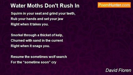 David Floren - Water Moths Don't Rush In