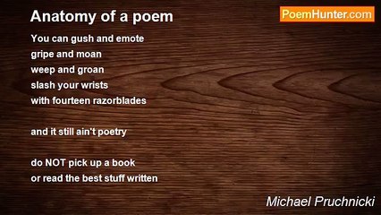 Michael Pruchnicki - Anatomy of a poem
