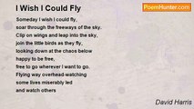 David Harris - I Wish I Could Fly
