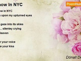 Dónall Dempsey - Snow In NYC