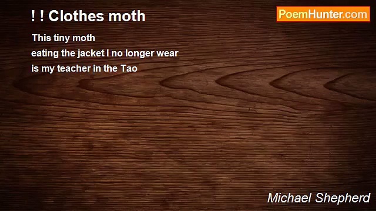 Michael Shepherd - ! ! Clothes moth