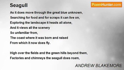 ANDREW BLAKEMORE - Seagull
