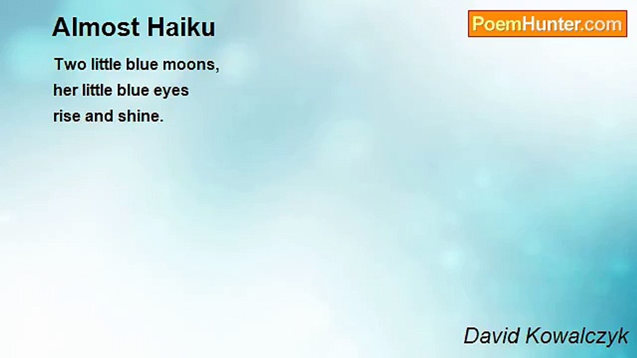 David Kowalczyk - Almost Haiku