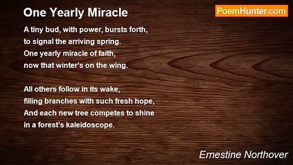Ernestine Northover - One Yearly Miracle