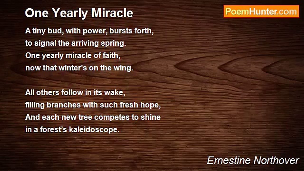 Ernestine Northover - One Yearly Miracle