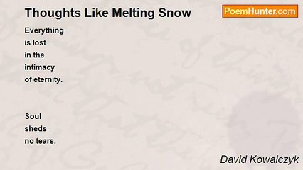 David Kowalczyk - Thoughts Like Melting Snow