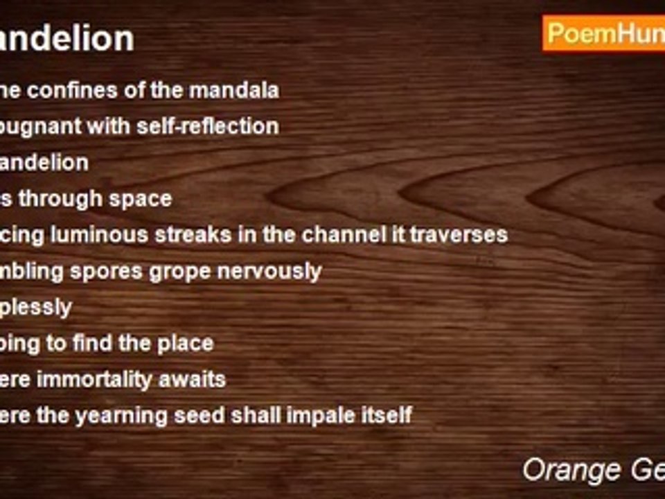 Orange Geometry - Dandelion