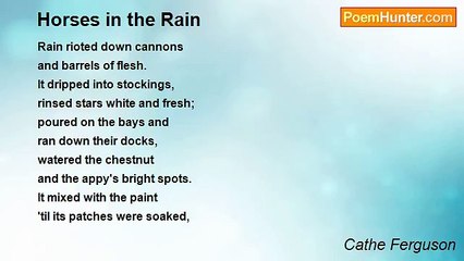 Cathe Ferguson - Horses in the Rain