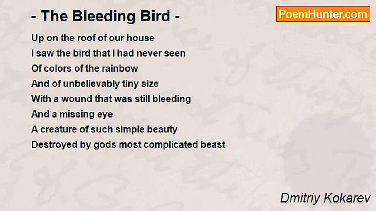 Dmitriy Kokarev - - The Bleeding Bird -