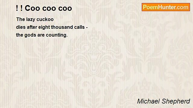 Michael Shepherd - ! ! Coo coo coo