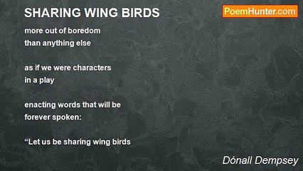 Dónall Dempsey - SHARING WING BIRDS