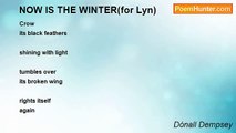 Dónall Dempsey - NOW IS THE WINTER(for Lyn)