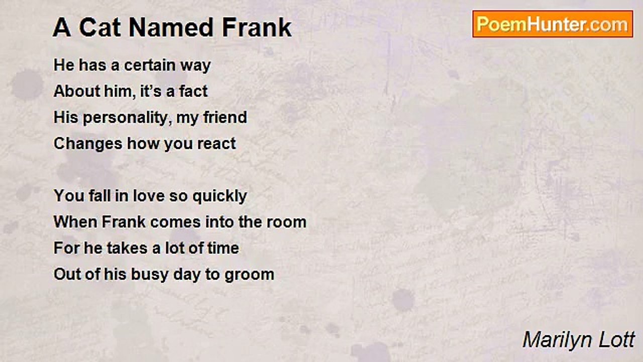 Marilyn Lott - A Cat Named Frank