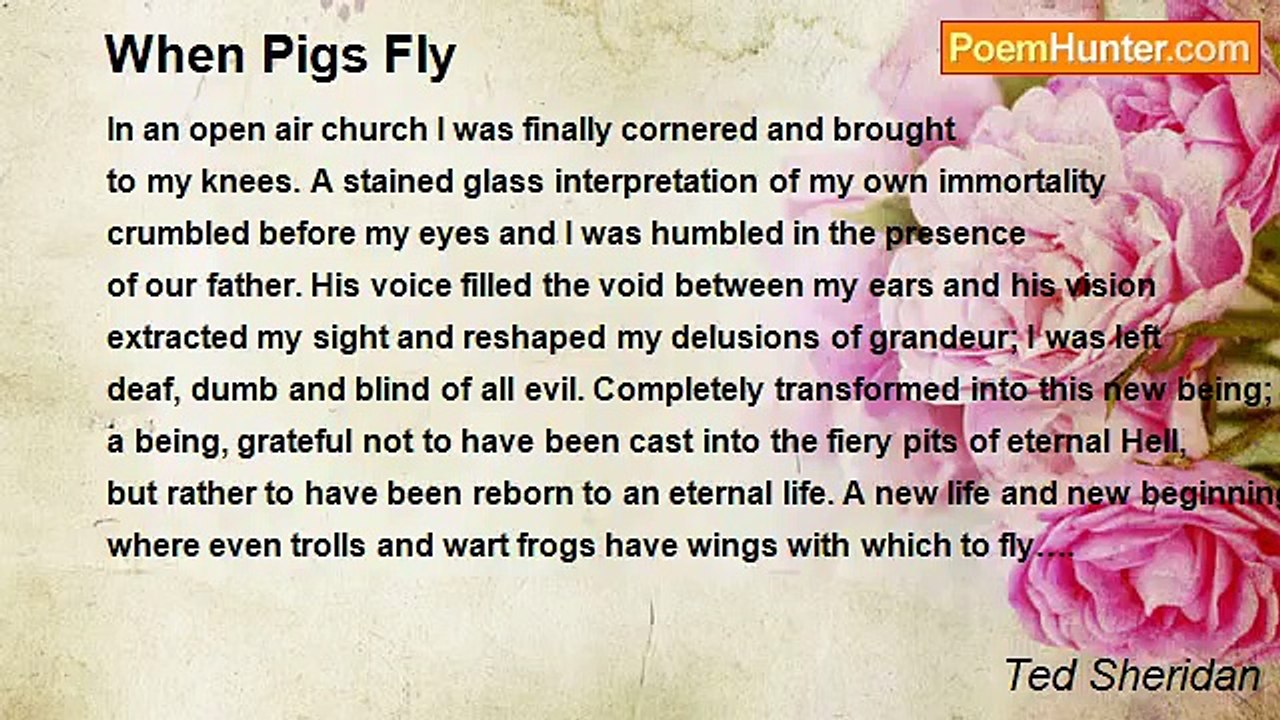 Ted Sheridan - When Pigs Fly