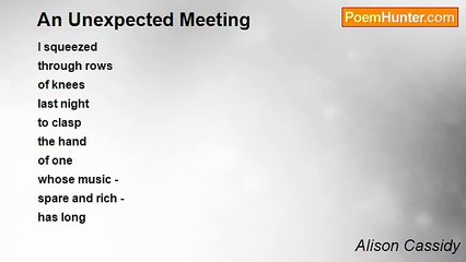 Alison Cassidy - An Unexpected Meeting