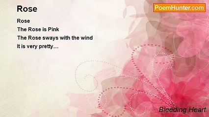 Bleeding Heart - Rose