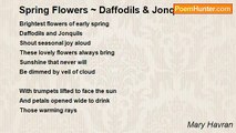 Mary Havran - Spring Flowers ~ Daffodils & Jonquils