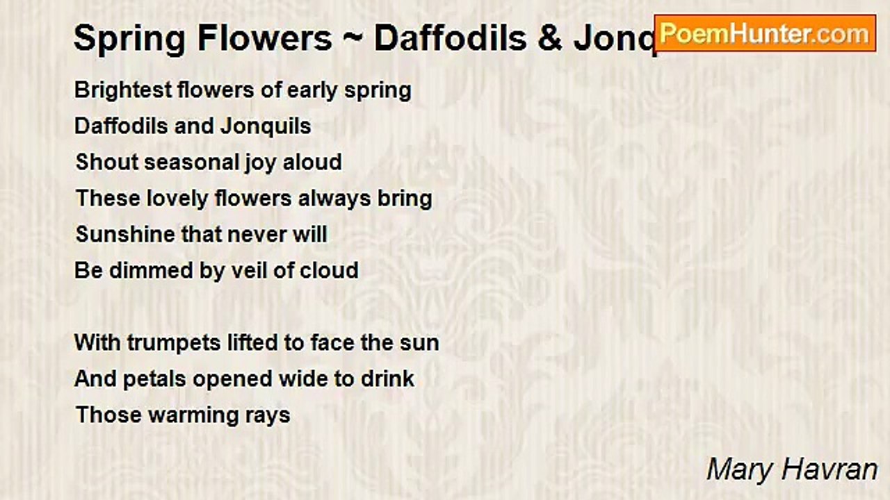 Mary Havran - Spring Flowers ~ Daffodils & Jonquils