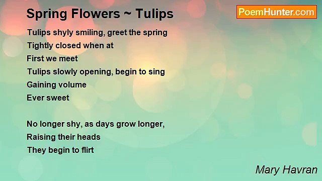 Mary Havran - Spring Flowers ~ Tulips