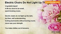 shel cope - Electric Chairs Do Not Light Up The Dark.