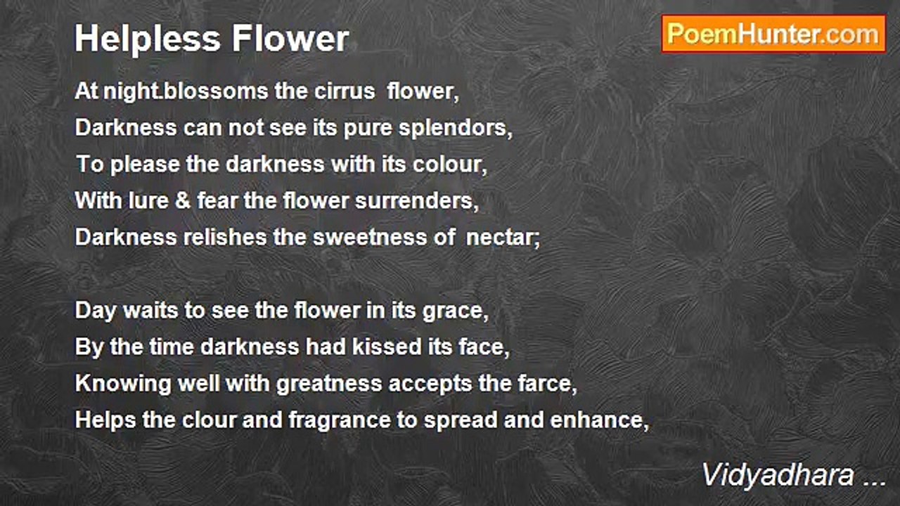 Vidyadhara ... - Helpless Flower