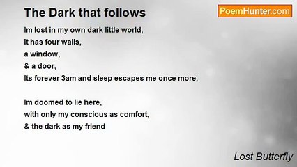 Lost Butterfly - The Dark that follows