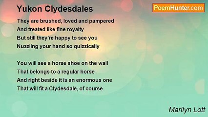 Marilyn Lott - Yukon Clydesdales