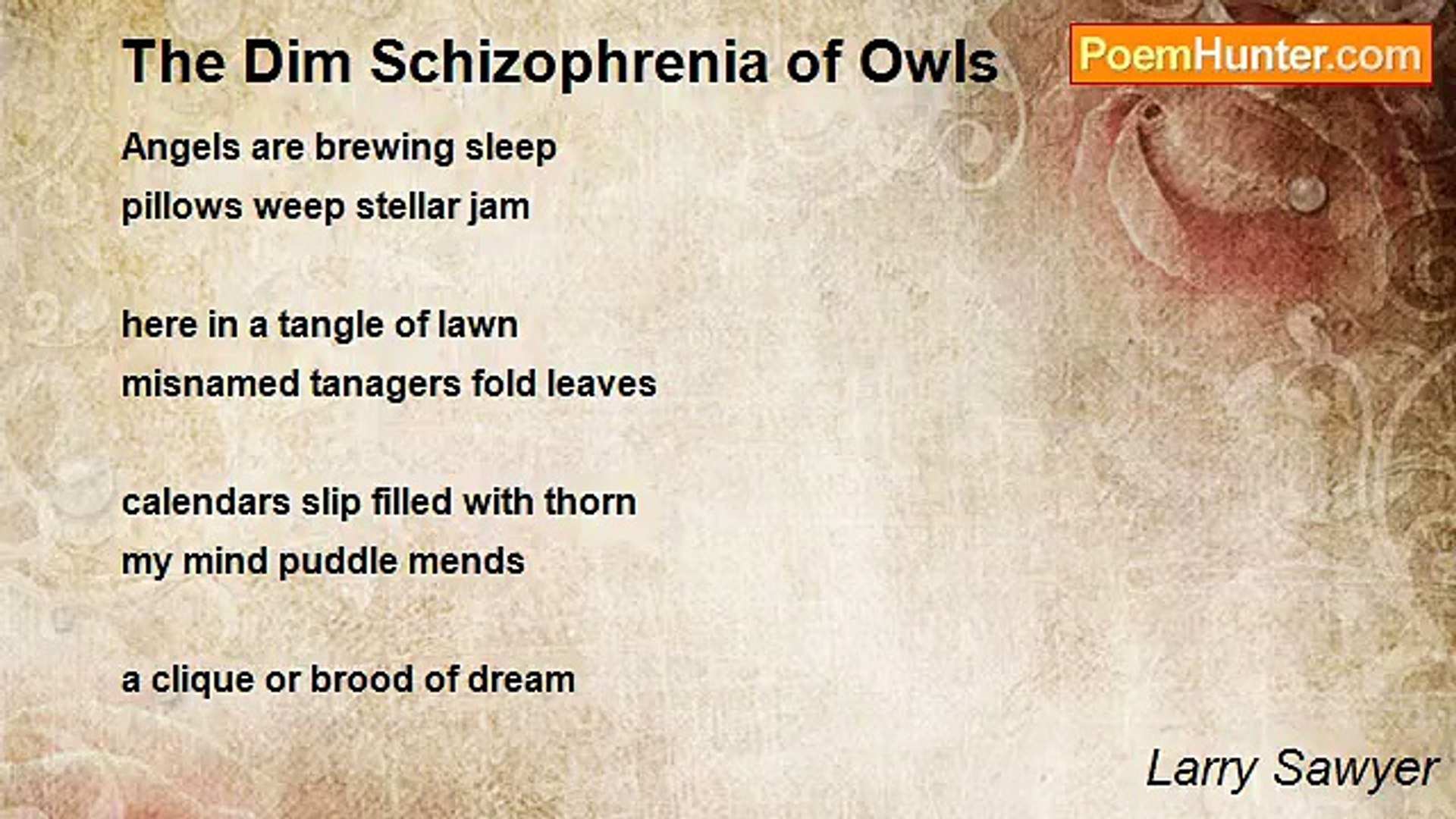 ⁣Larry Sawyer - The Dim Schizophrenia of Owls