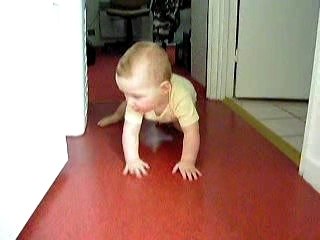 Kyllian essai le  4 pattes