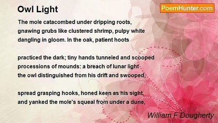 William F Dougherty - Owl Light