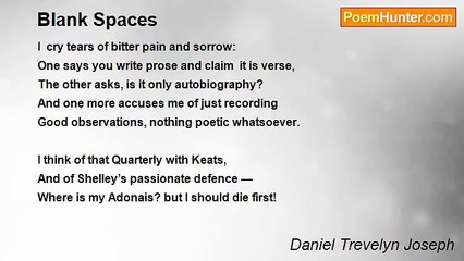 Daniel Trevelyn Joseph - Blank Spaces