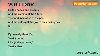 jess schwarcz - 'Just a Horse'