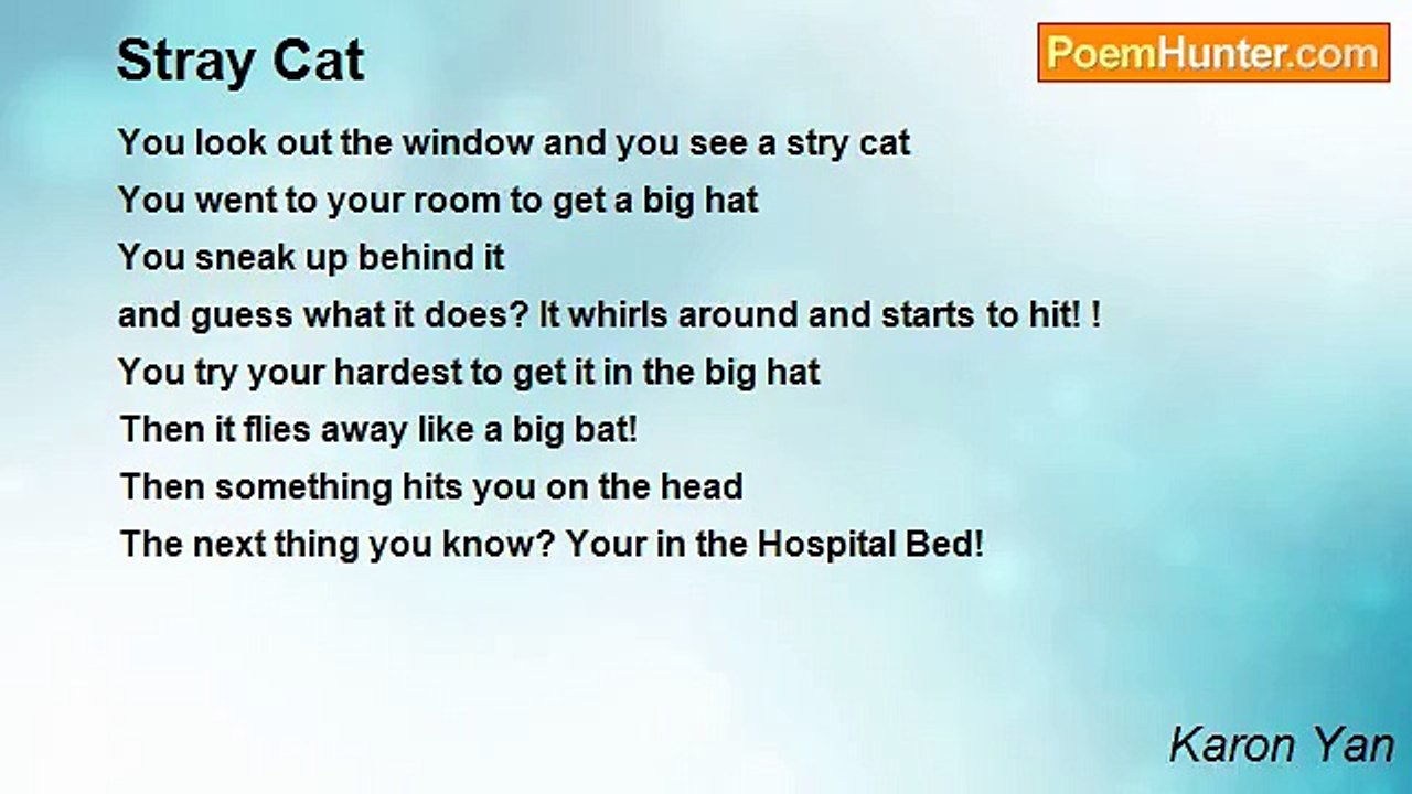 Karon Yan - Stray Cat