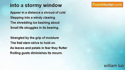 william luo - into a stormy window