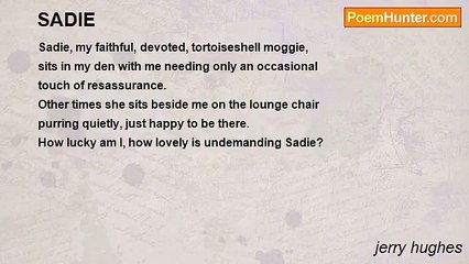 jerry hughes - SADIE