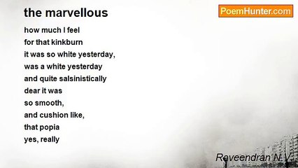 Raveendran N.V. - the marvellous