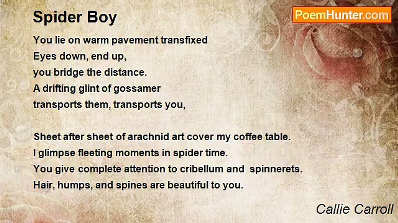 Callie Carroll - Spider Boy